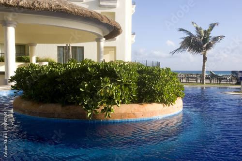 Pool Oasis