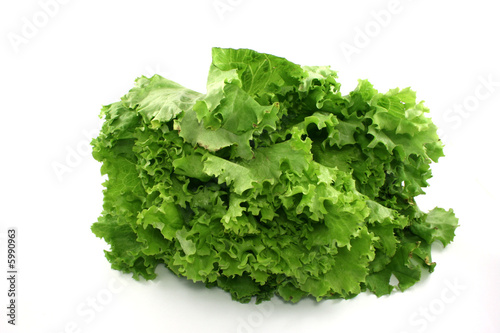 lettuce