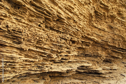 A sediment cliff in desert