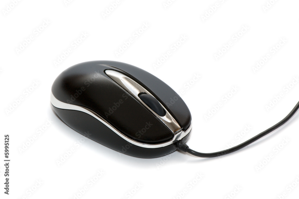 The computer mouse on a white background. The computer mouse on a white background.