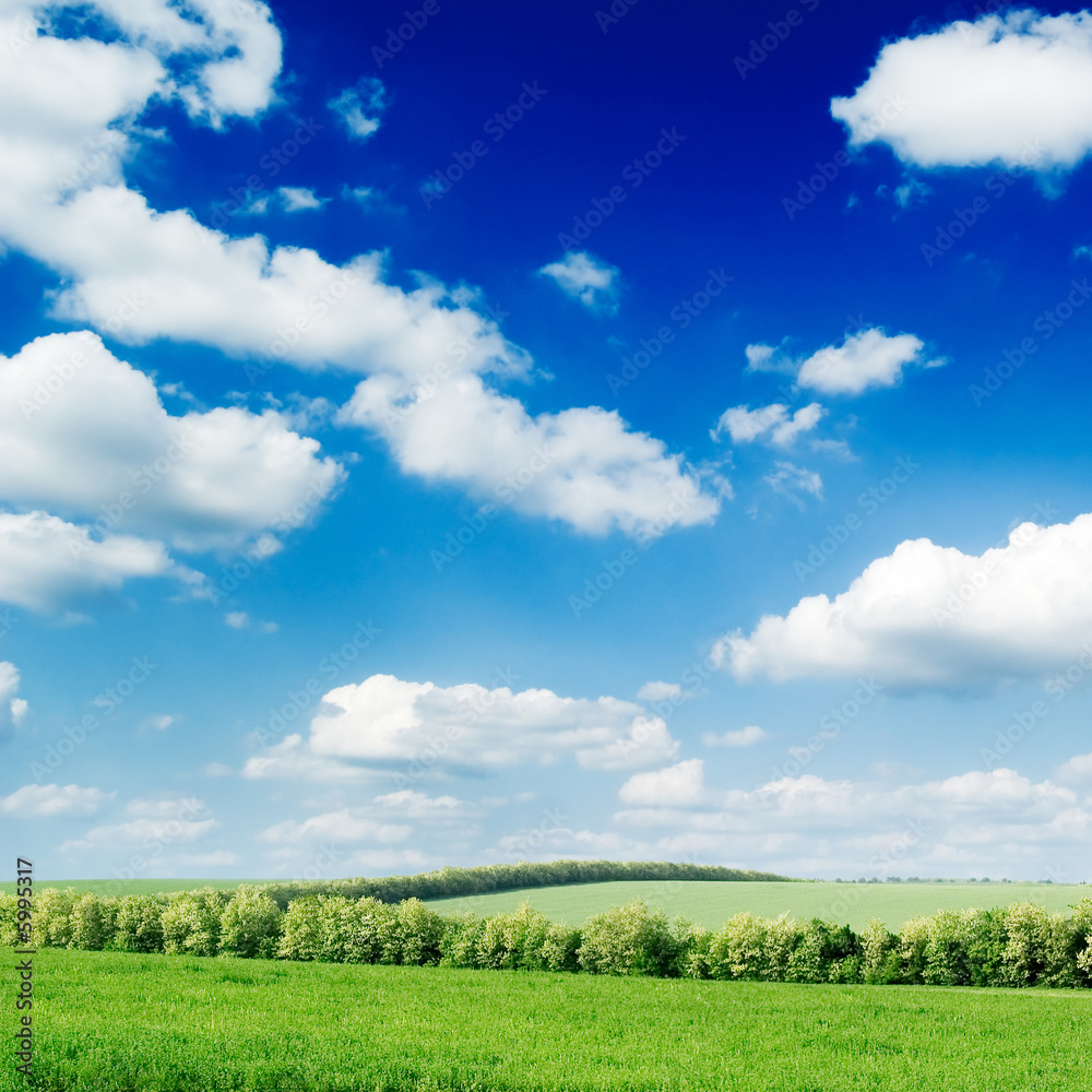 green field and white clouds