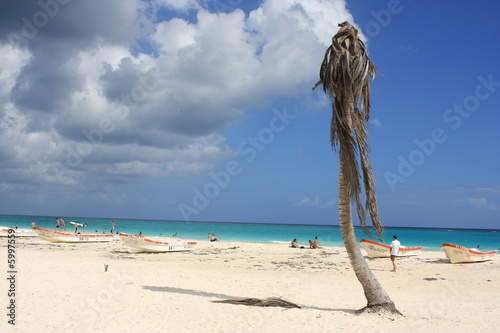 plage et cocotiers photo