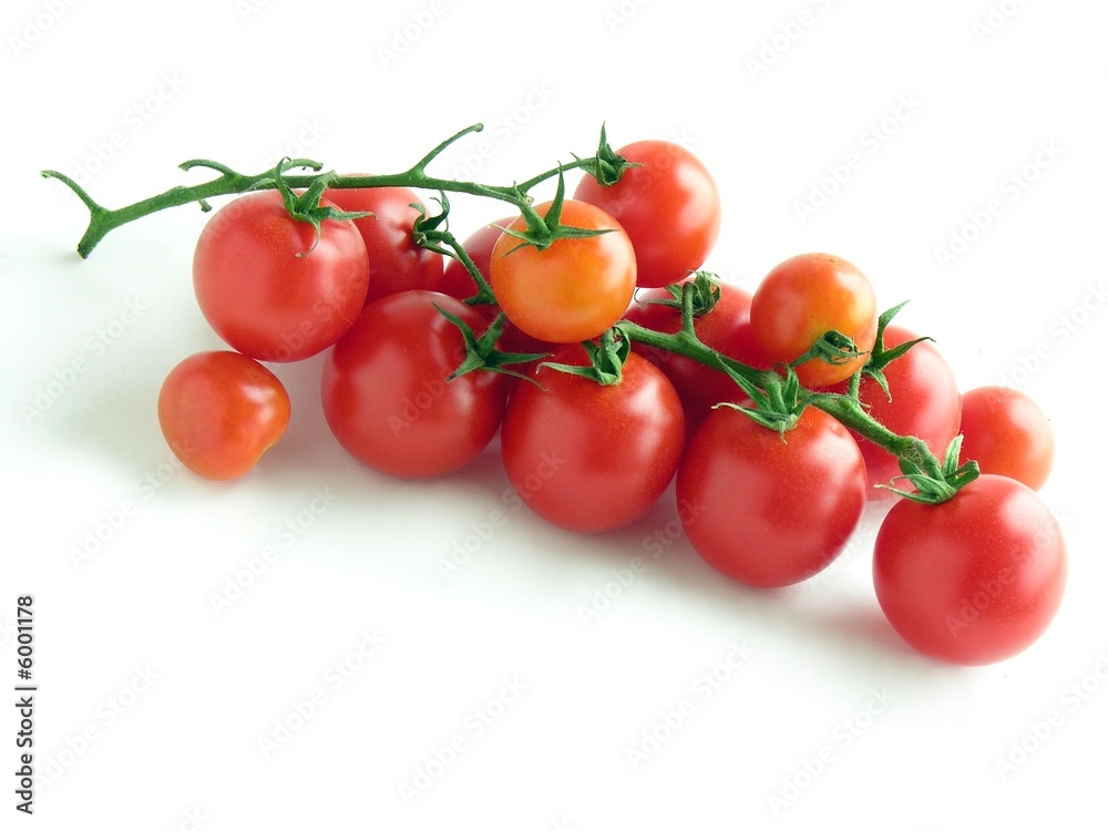 bunch of tomatoes