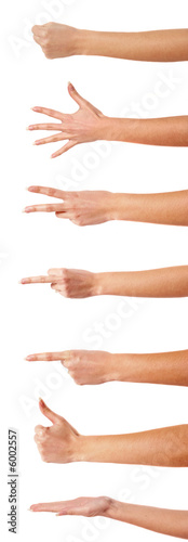 Hands