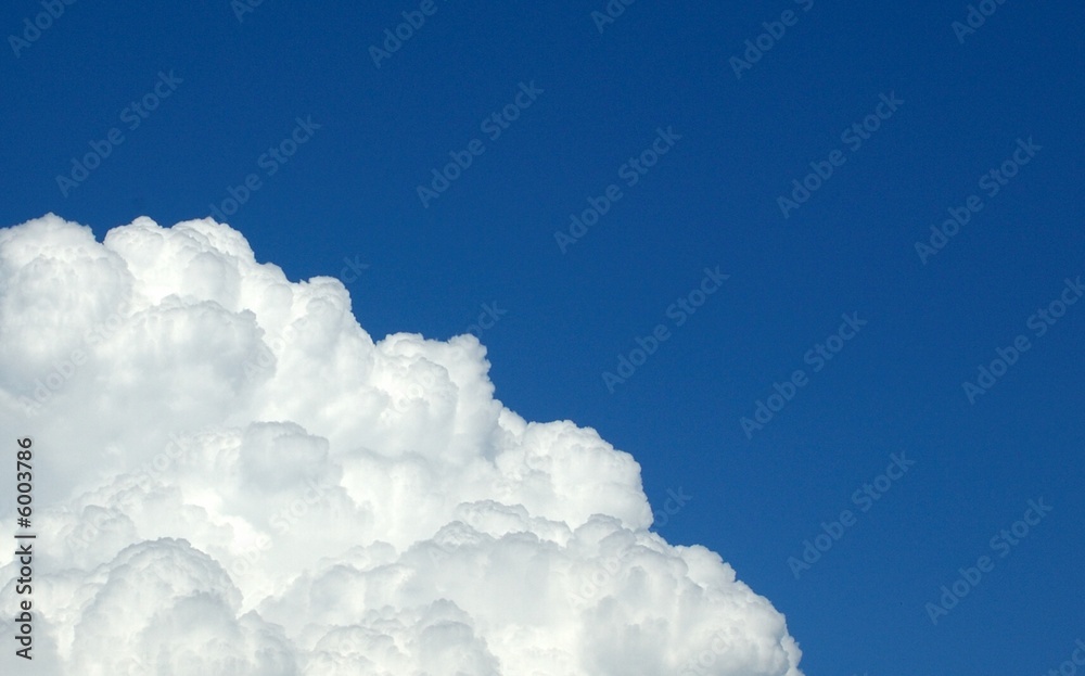 Naklejka premium Himmel. Blumenweiß&Blau
