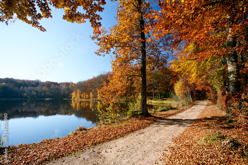 Chemin de forêt en automne avec arbres colorés près d'un lac