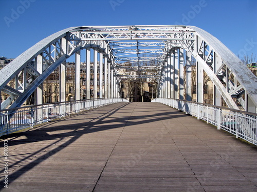 Petit pont sur la seine, Paris