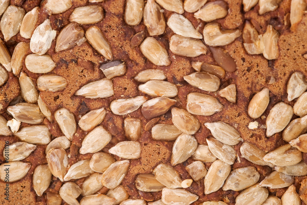 Wholegrain Bread Surface Wholegrain Bread Surface