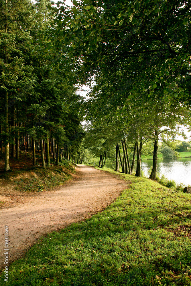 Fototapeta premium Chemin près d'un lac