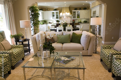 Luxury home living room with contemporary decor.
