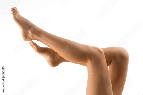 LEGS