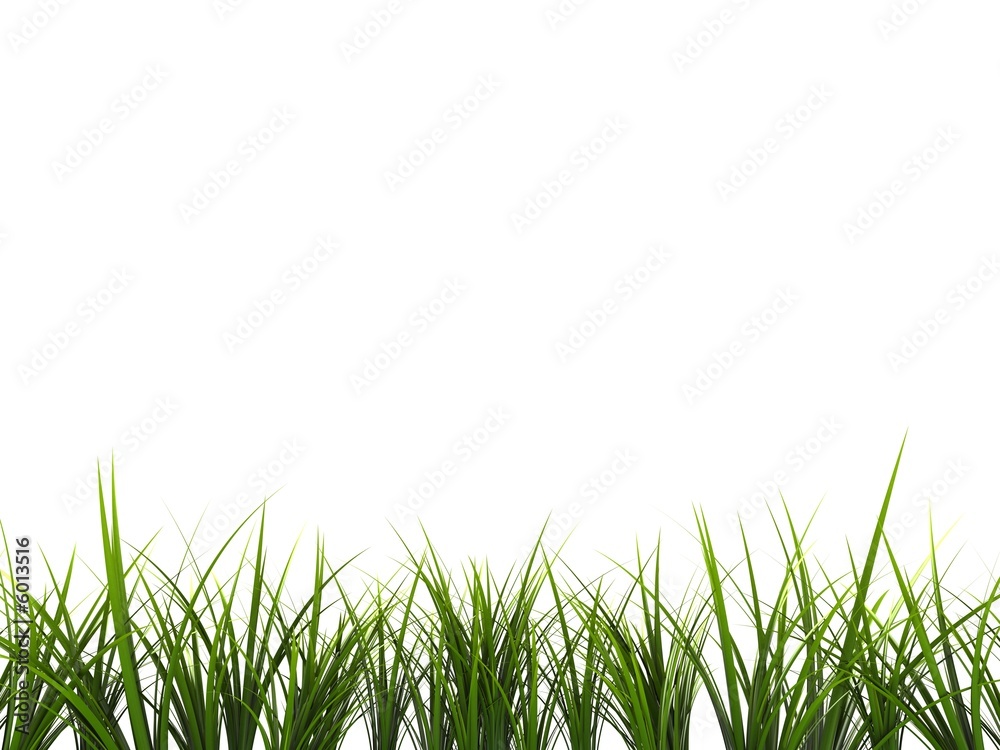 Fototapeta premium 3d gras
