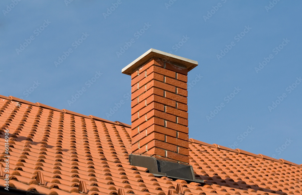 Fototapeta premium roof tiles with shallow depth of field