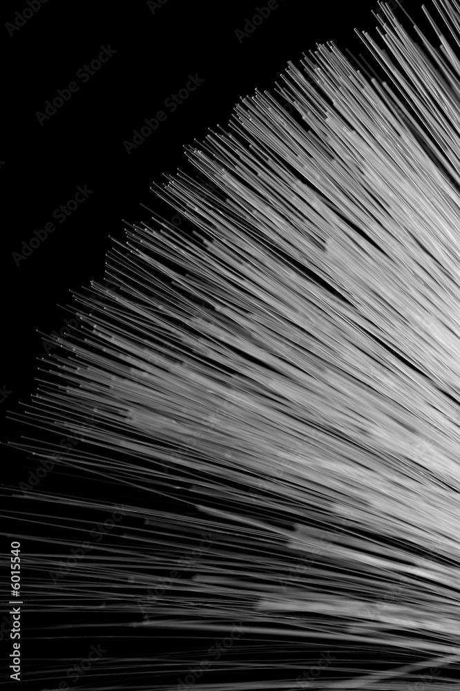 Obraz premium Optic Fibers