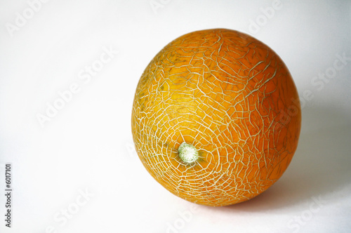 melon