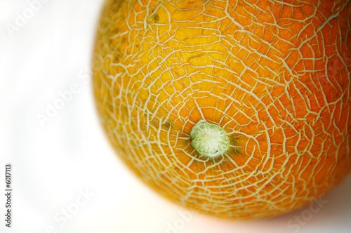melon-2