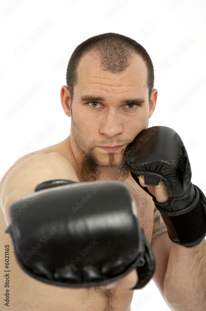 boxer boxer