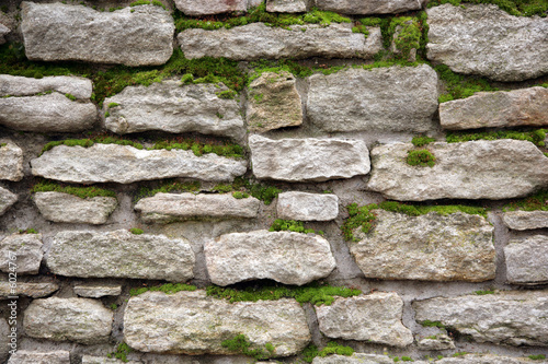 Old wall from a stone covered by a moss