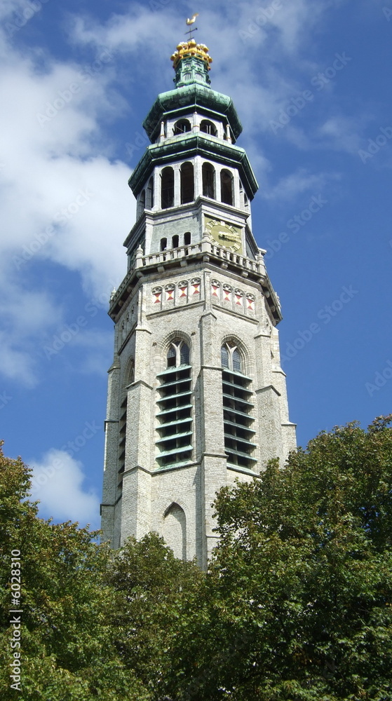 Lange Jan en Nieuwe Kerk Middelburg/Zeeland/Niederlande