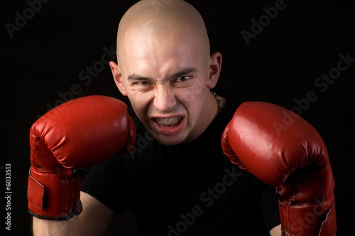 Schilderij op canvas Boxer.