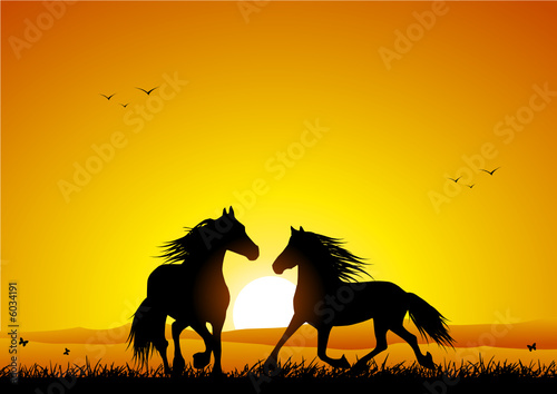 Two wild horses at sunset