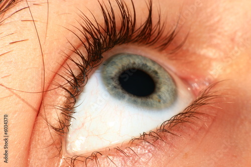 Eye