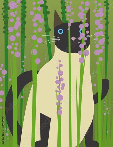 cat look 8