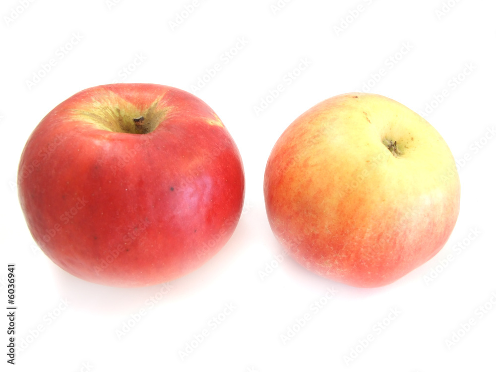 apple apple