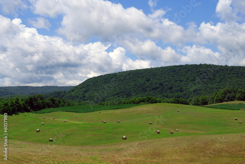 Rolling Landscape