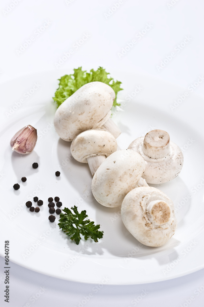 food serias: some mushrooms on the white plate food serias: some mushrooms on the white plate