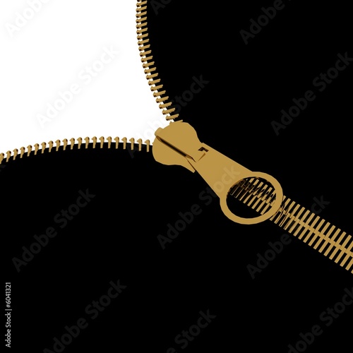 gold 3d zipper