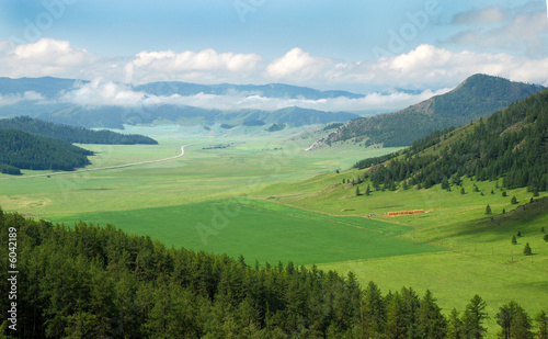 Spring cornfield amidst mountains