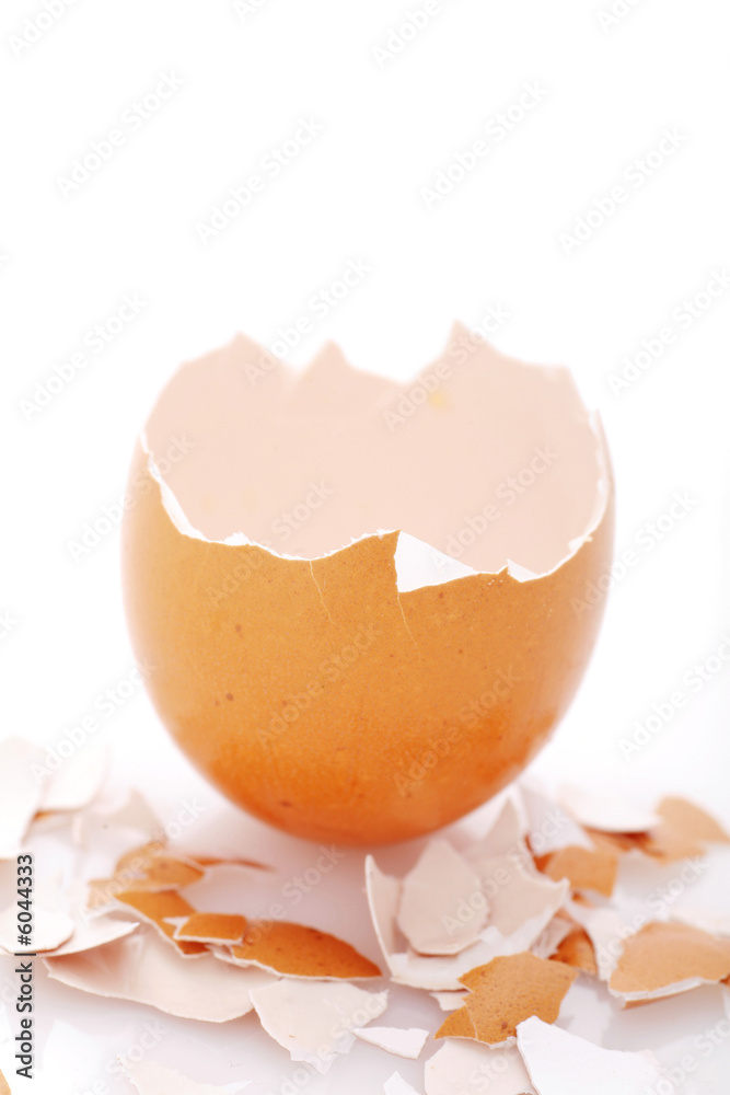 cracked egg on white background as a symbol for the great escape cracked egg on white background as a symbol for the great escape