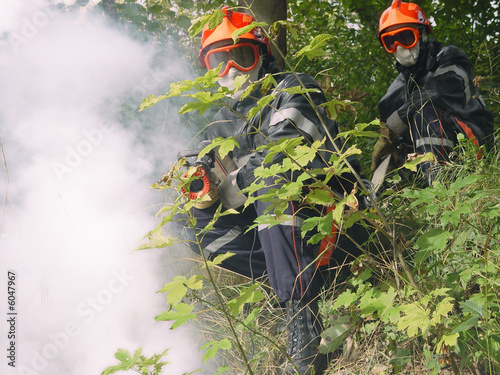sapeurs pompiers feu de foret protection