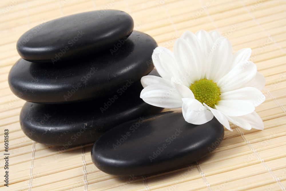 pebbles stack with white daisy - health care pebbles stack with white daisy - health care