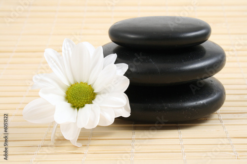 pebbles stack with white daisy - health care