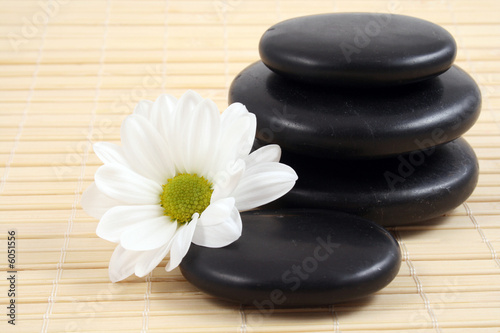 pebbles stack with white daisy - health care