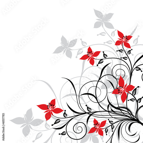 Floral backgrounds, vector illustration 