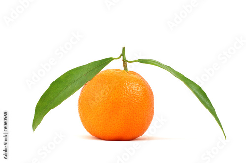 Tangerine isolated on pure white background