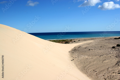 Düne ins Meer