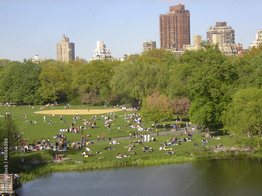 Fototapeta premium Central Park à New-York