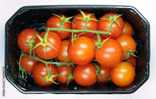 Cocktailtomaten