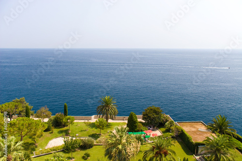 View on a sea and green garden. Monaco.