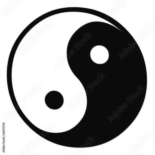 Obraz na plátně ying und yang