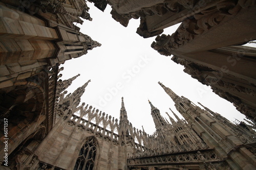 Duomo di Milano - particolare photo