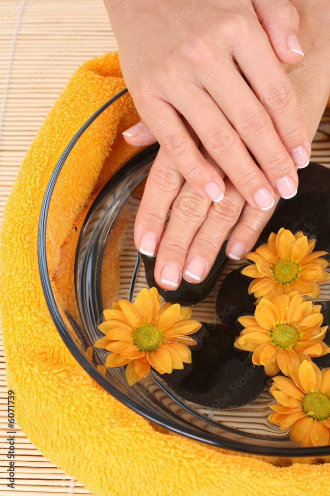 beautiful female hands and bowl of pure water with daisy beautiful female hands and bowl of pure water with daisy