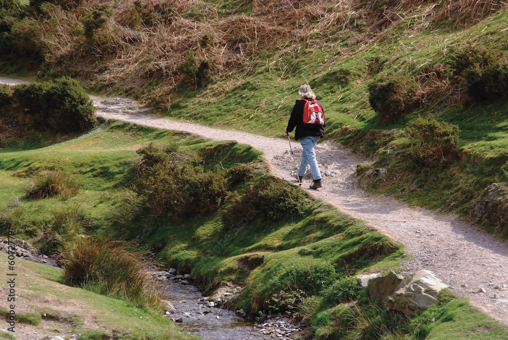 A stream and a footpath uphill in the carding mill valley