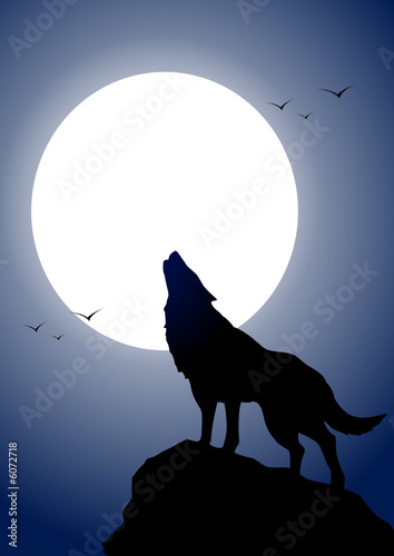 Wolf and moon
