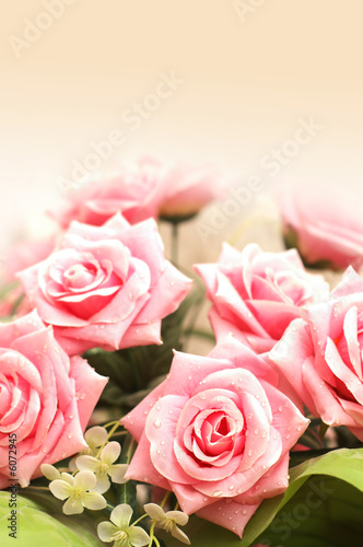 Wedding and Valentine concept with many pink roses