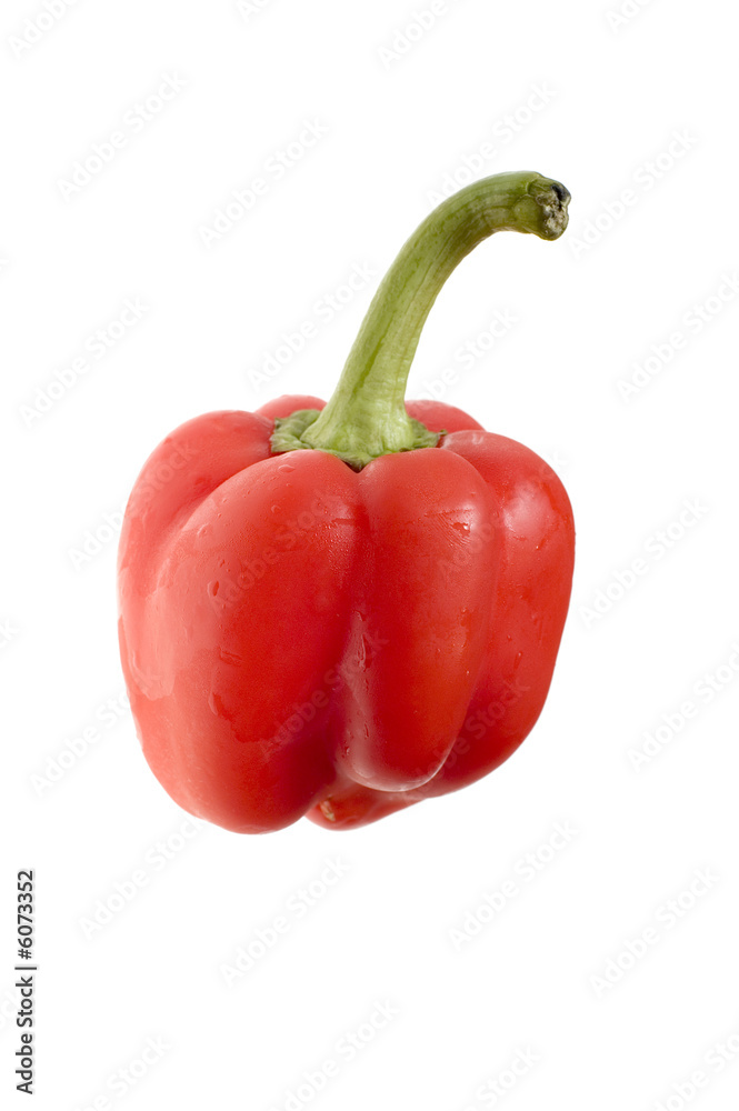 series object on white - food - cayenne on white series object on white - food - cayenne on white